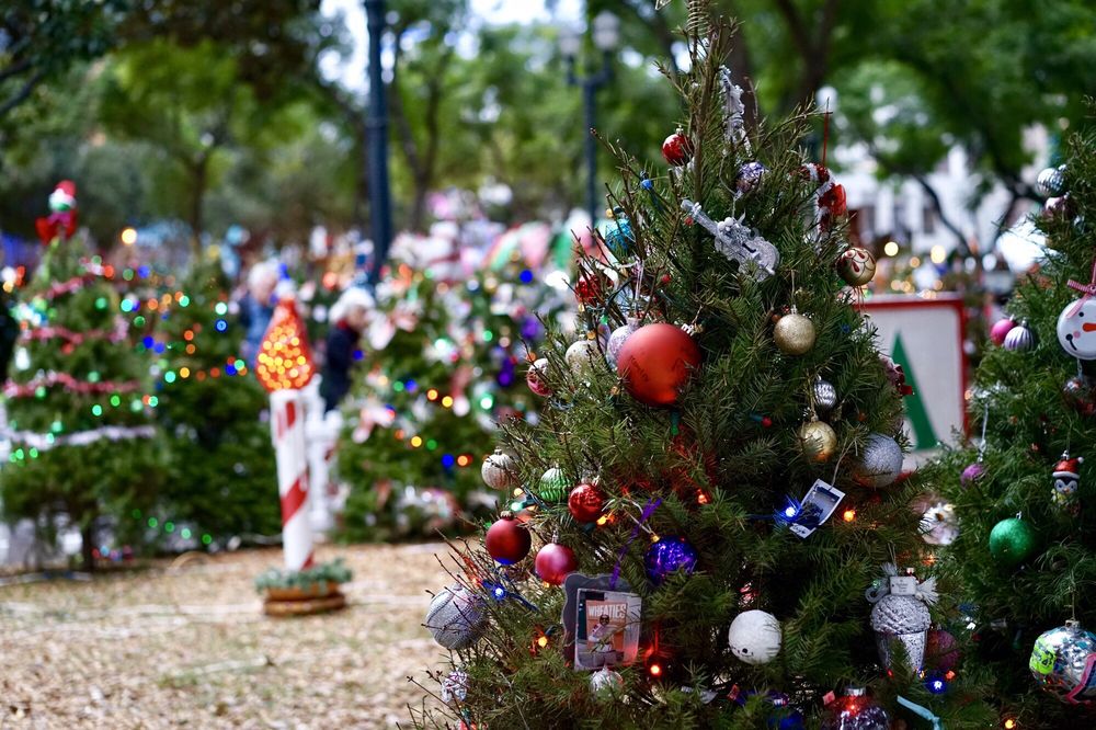 San Jose Christmas In The Park Breaks Guinness World Record with 600
